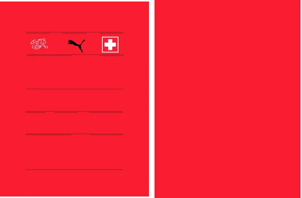 1era equipacion de suiza 2019 21 2
