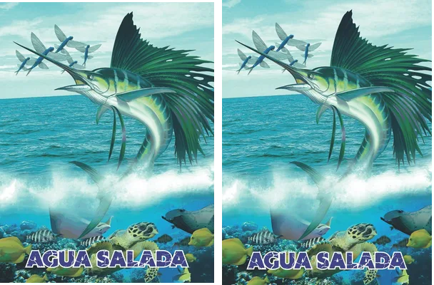 AGUA SALADA DESIGN