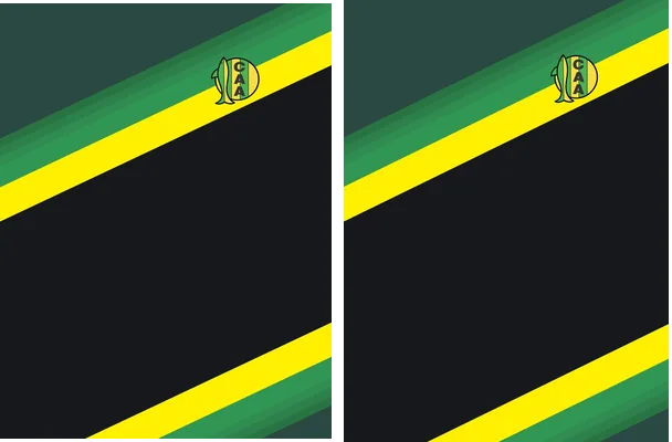 ALDOSIVI 01