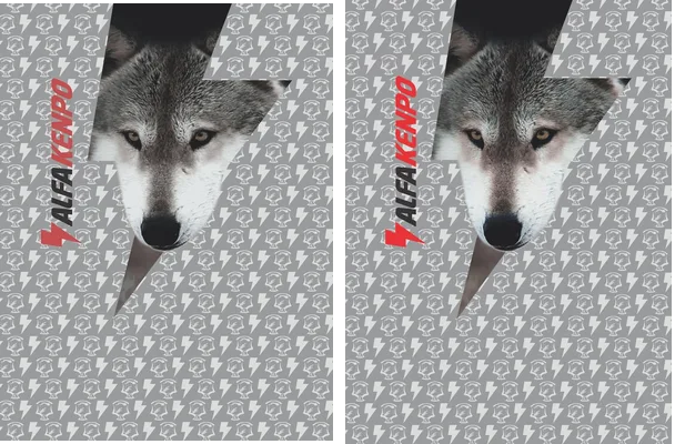 ALFA KENPO WOLF JERSEY
