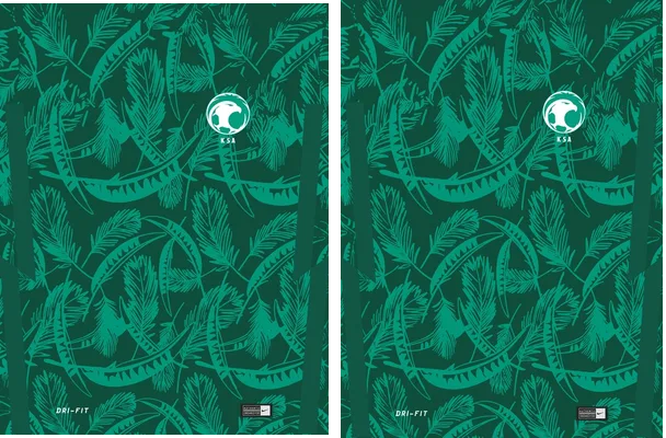 ARABIA SAUDITA 02