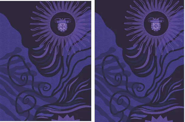 ARGENTINA SUN CONCEPT