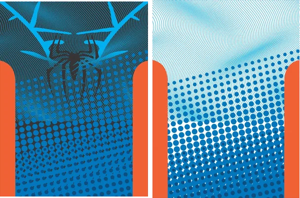 ARQUERO ARAÑA 2024