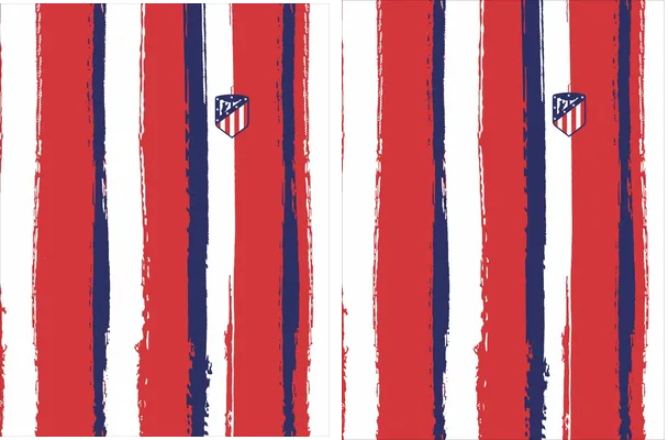 ATLETICO DE MADRID 0018