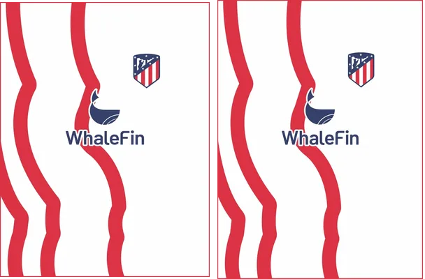 ATLETICO DE MADRID 22 23