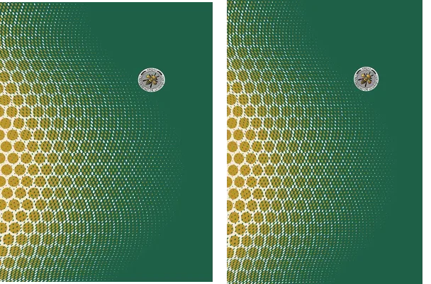 Abejas Pattern Sports Design