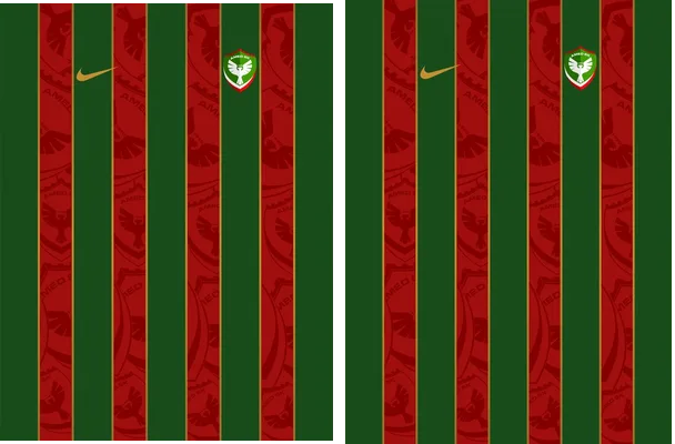 Amed SK Home Kit 25 26