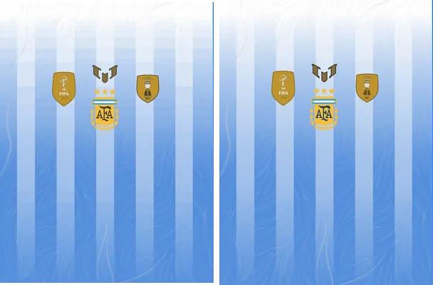 Argentina Concetp VS24