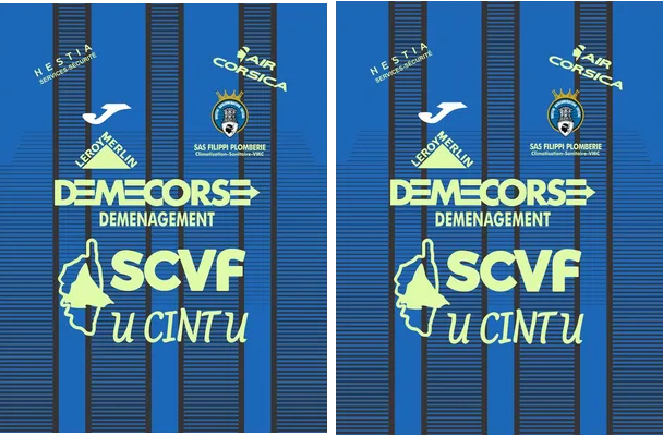 BASTIA AGGLOMERATION FUTSAL VECTOR