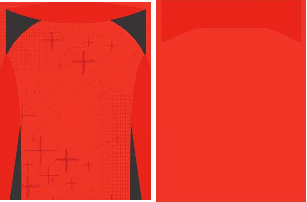 BAYER 04 LEVERKUSEN 2024 25 LOCAL