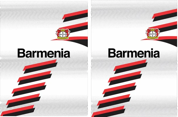 BAYER 1904 DESIGN