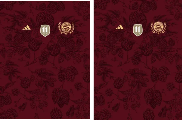 BAYERN MUNCHEN DARKWINE CONCEPT Q 1