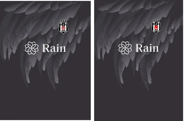 BESIKTAS VISITANTE ADI 2023 24