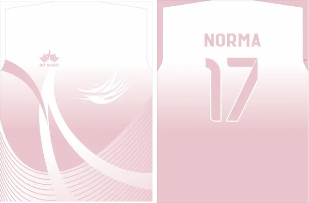 BIJ SPORT VOLEY ROSA 2022