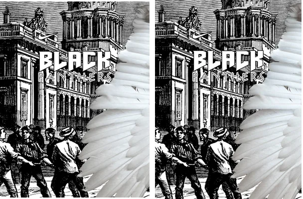 BLACK PANTHERS DESIGN