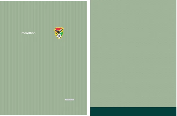 BOLIVIA LOCAL 2024