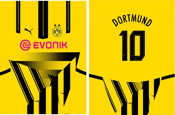 BORUSSIA DORTMUND CUP 2024 25