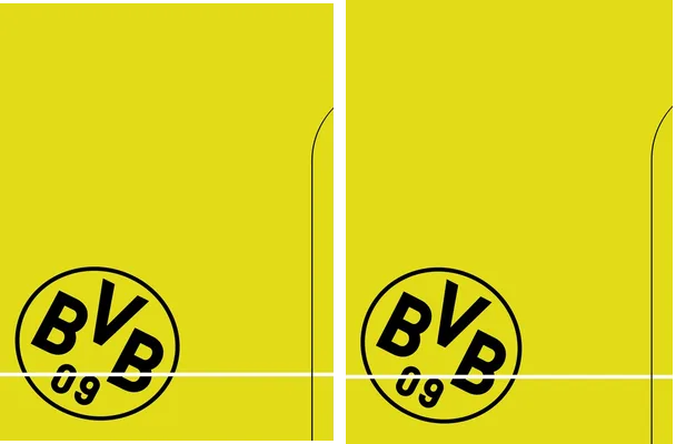 BORUSSIA PU CONCEPT