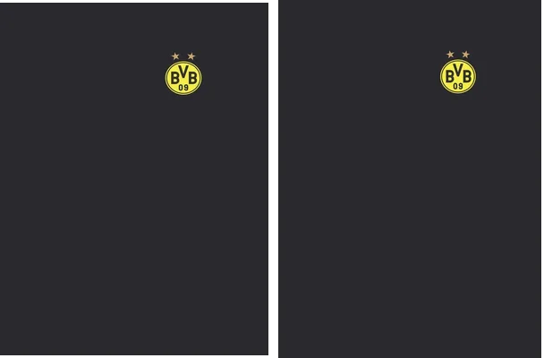 BORUSSIA PU DESIGN