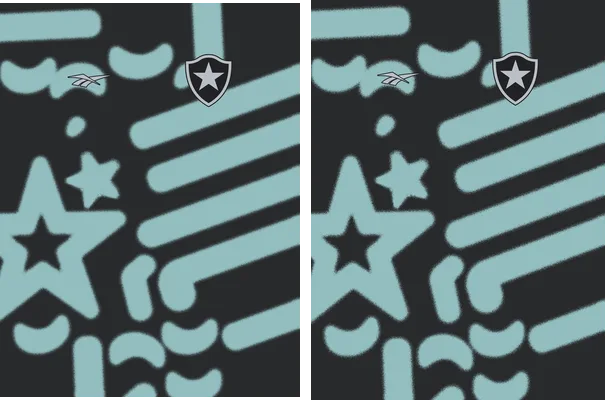 BOTAFOGO OFICIAL