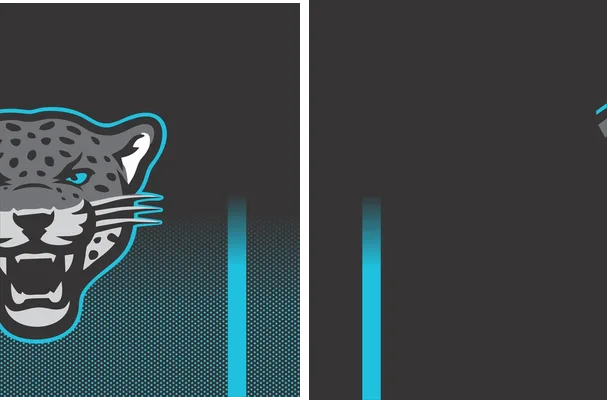 BRASIL PUMA