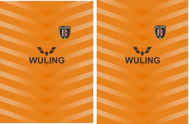 Bali United Concept