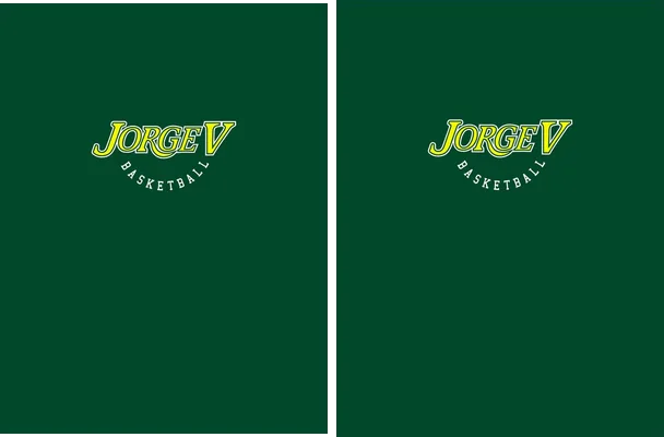 BarsketBall Concept Green
