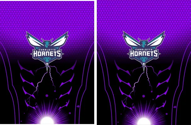 BasketBall Hornets Concept