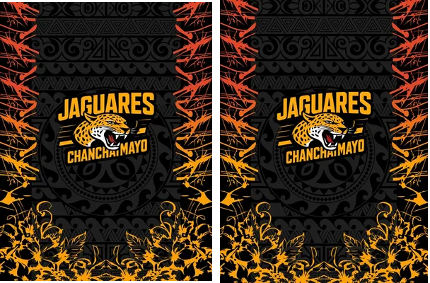 Basketball Jaguares Concept