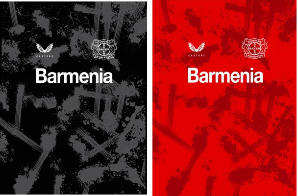 Bayer 04 Leverkusen Concept 25 Q 1