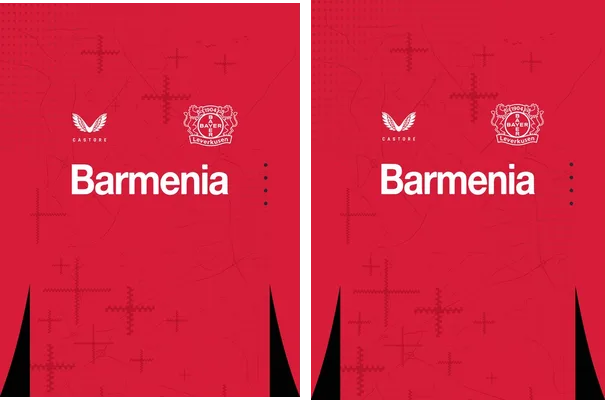 Bayer 04 Leverkusen Home 24 25 PRO