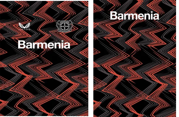 Bayer 04 Leverkusen Prematch 2024 2025