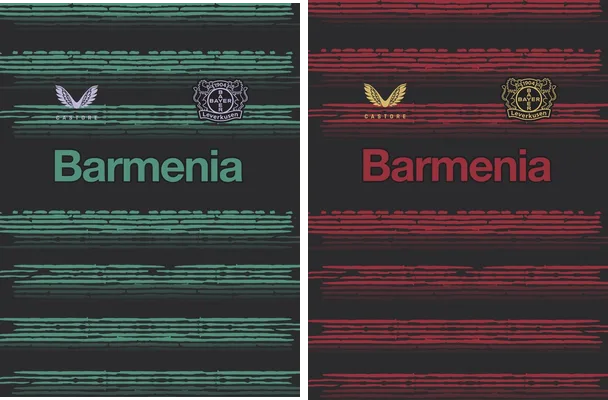 Bayer 04 Leverkusen Rojo Plomo