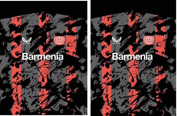Bayern 04 Leverkusen Grunge PRO