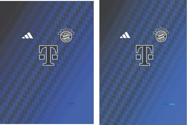 Bayern de Munich Adidas Concept 24