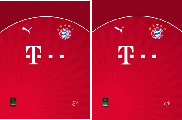 Bayern de Munich Fantasy 24