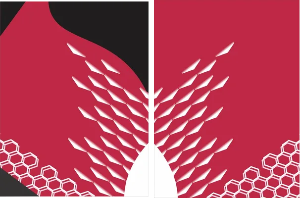 Bij Sport Geometric Rojo Q 2