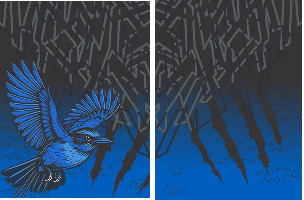 Bird Interclasse Azul VS25