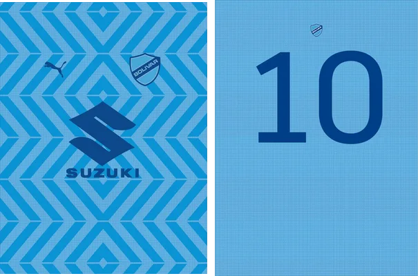 Bolivar Home Kit Puma 24