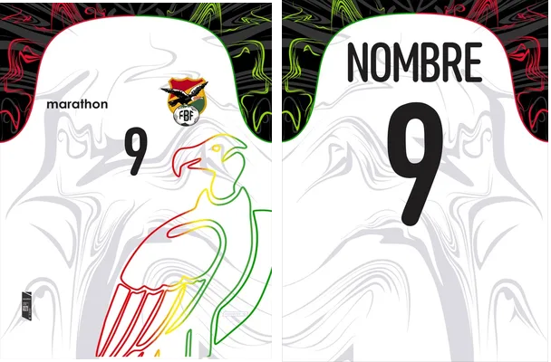 Bolivia Condor Concept