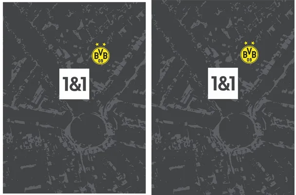 Borussia 2023 2024 Away