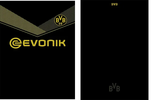 Borussia Dortmount Concept 2021