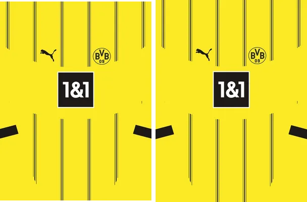 Borussia Dortmund Home 2024 25