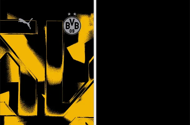 Borussia Dortmund Pre Match 2025