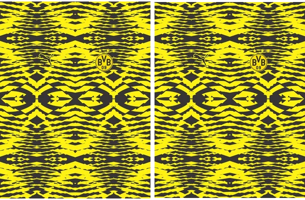 Borussia Dortmund Pre Match PRO24