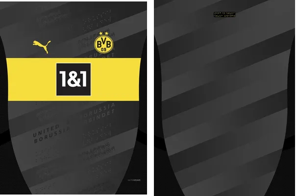 Borussia Dortmund Visita 2024 2025