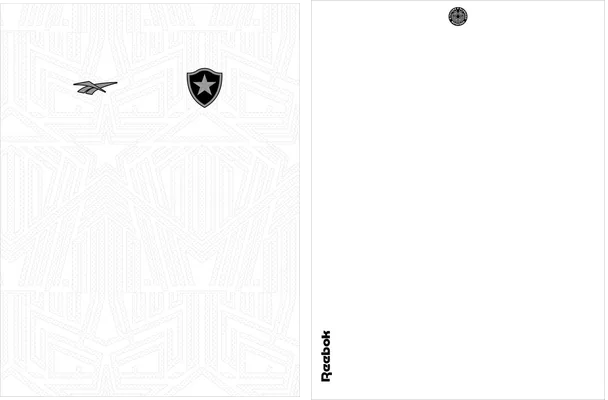 Botafogo Tercera 2024