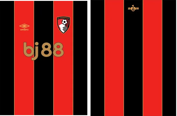 Bournemouth Home Kit 24 25 Q 1