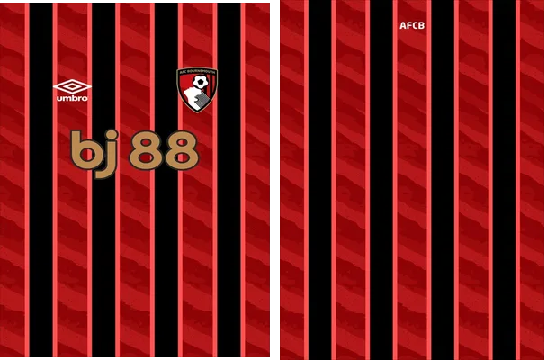 Bournemouth Home Kit 25
