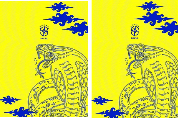Brasil Fantasy Cobra 24 PRO